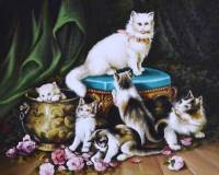 Кошачье семейство