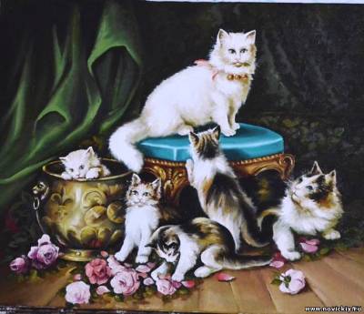 Кошачье семейство