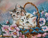 Котята