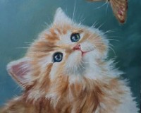 Котёнок_145938