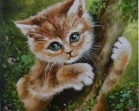 Котёнок