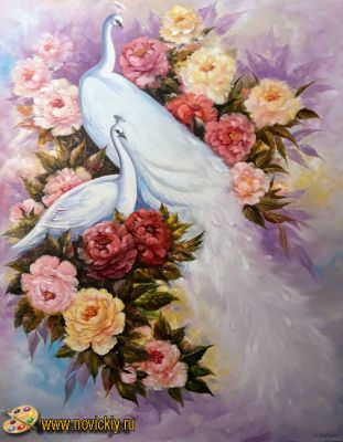 Белые павлины в цветах